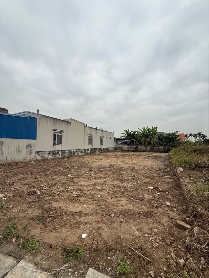 Đất nền An Thọ, An Lão 66m² chỉ 790 triệu - Sổ đỏ chính chủ, pháp lý rõ ràng!