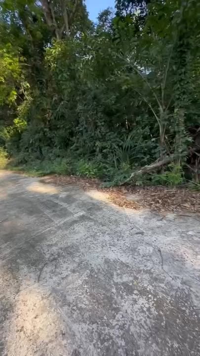 Đất nền Dương Tơ Phú Quốc 3.200m² giá 7.2 tỷ - Cơ hội đầu tư sinh lời!