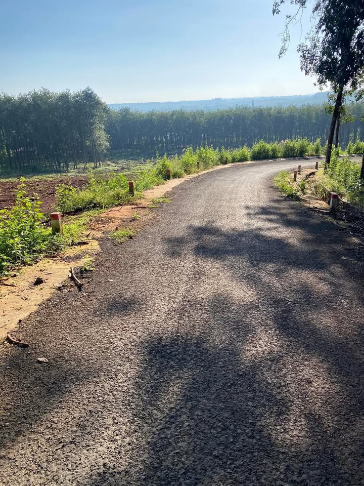 Đất nền Lộc Thuận, Lộc Ninh 8640m² giá 250 triệu - Sổ đỏ chính chủ, đầu tư sinh lời!