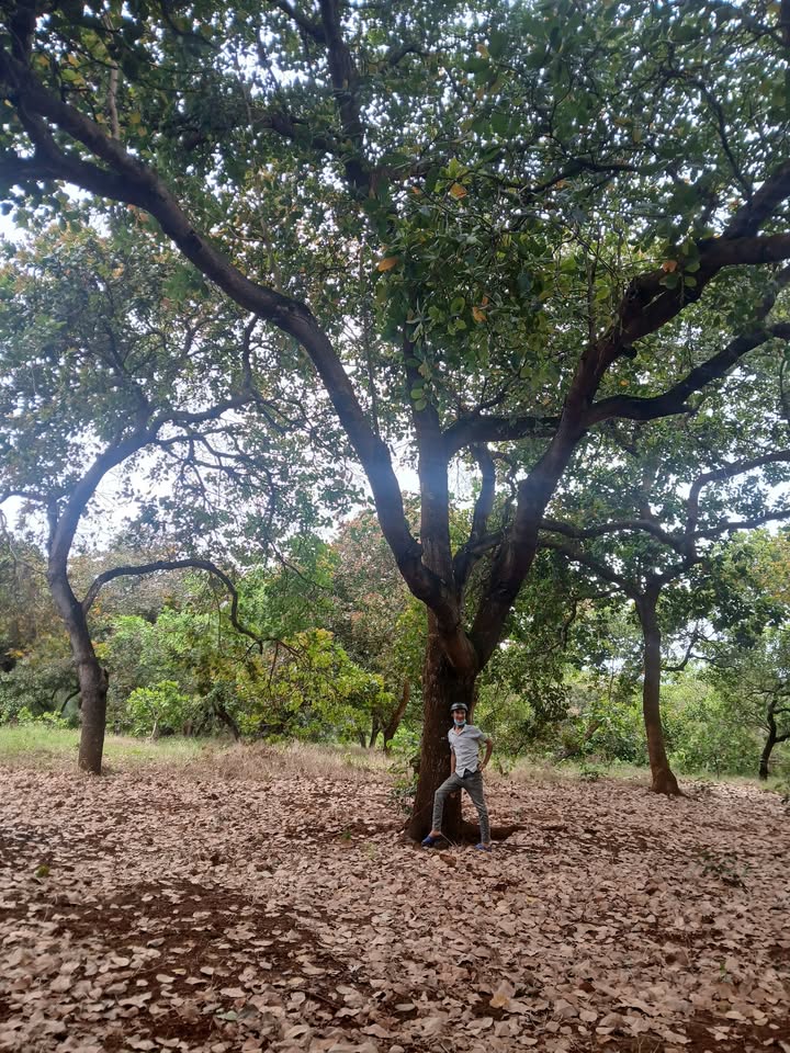 Đất Farm Phú Nghĩa Bù Gia Mập 16.000m² giá 1.6 tỷ - Sổ đỏ chính chủ!