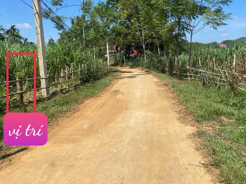 Lô đất Phùng Giáo Ngọc Lặc 125m² giá 100 triệu - Đầu tư sinh lời ngay!