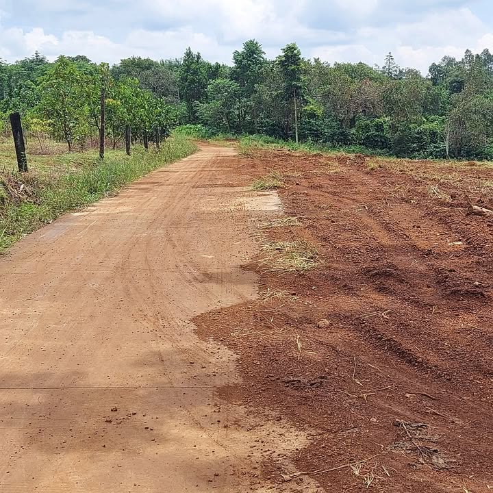 Đất thổ cư Nhân Đạo Đắk R'Lấp 1000m² giá 450 triệu - Cơ hội đầu tư tuyệt vời!