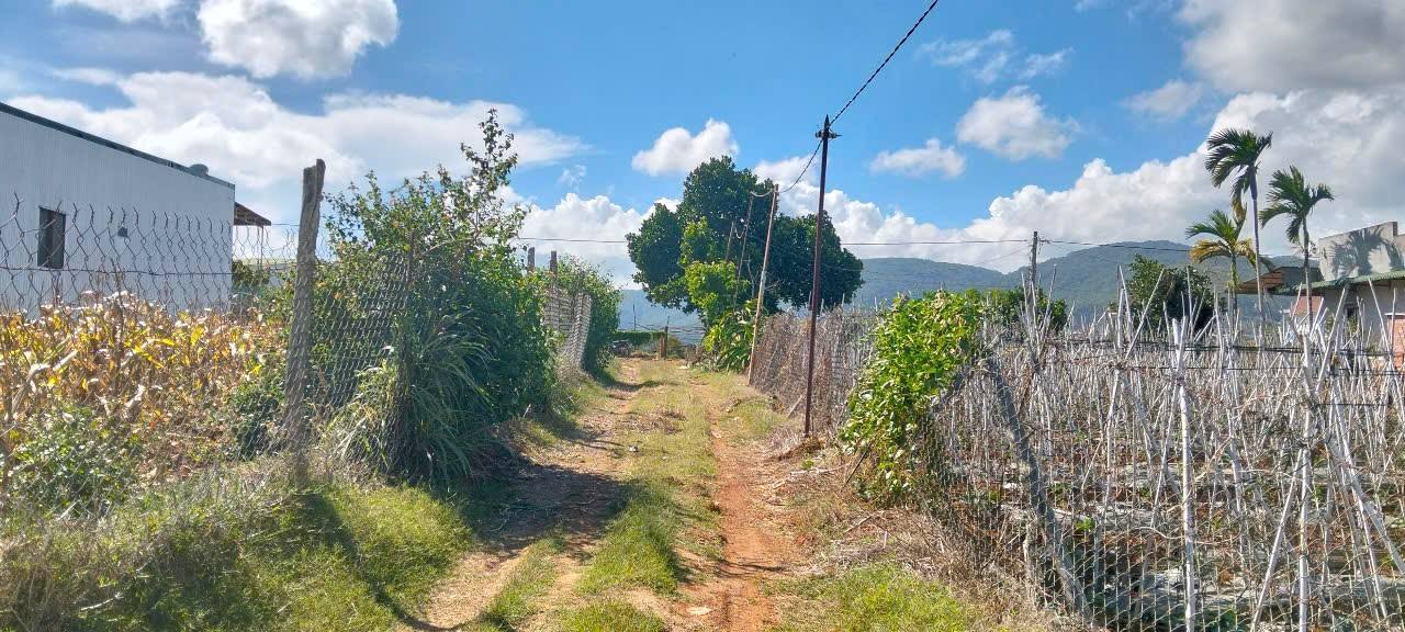 Đất nền Ka Đô, Đơn Dương 560m² - Sổ hồng chính chủ, giá thỏa thuận!