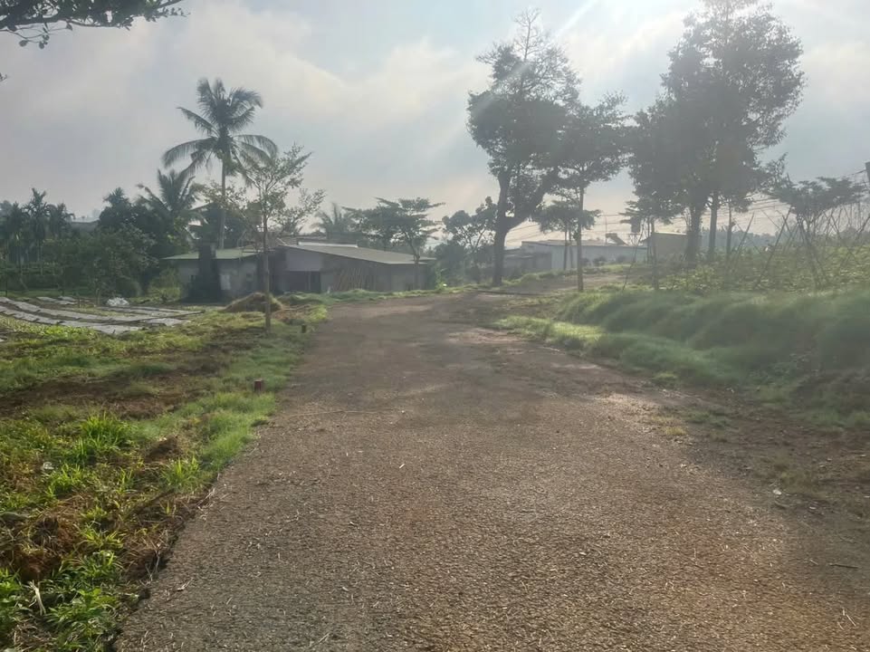 Lô đất thổ cư 243m² tại Thôn 16 Lộc Thành Bảo Lâm - Chỉ 760 triệu, cơ hội vàng cho nhà đầu tư!