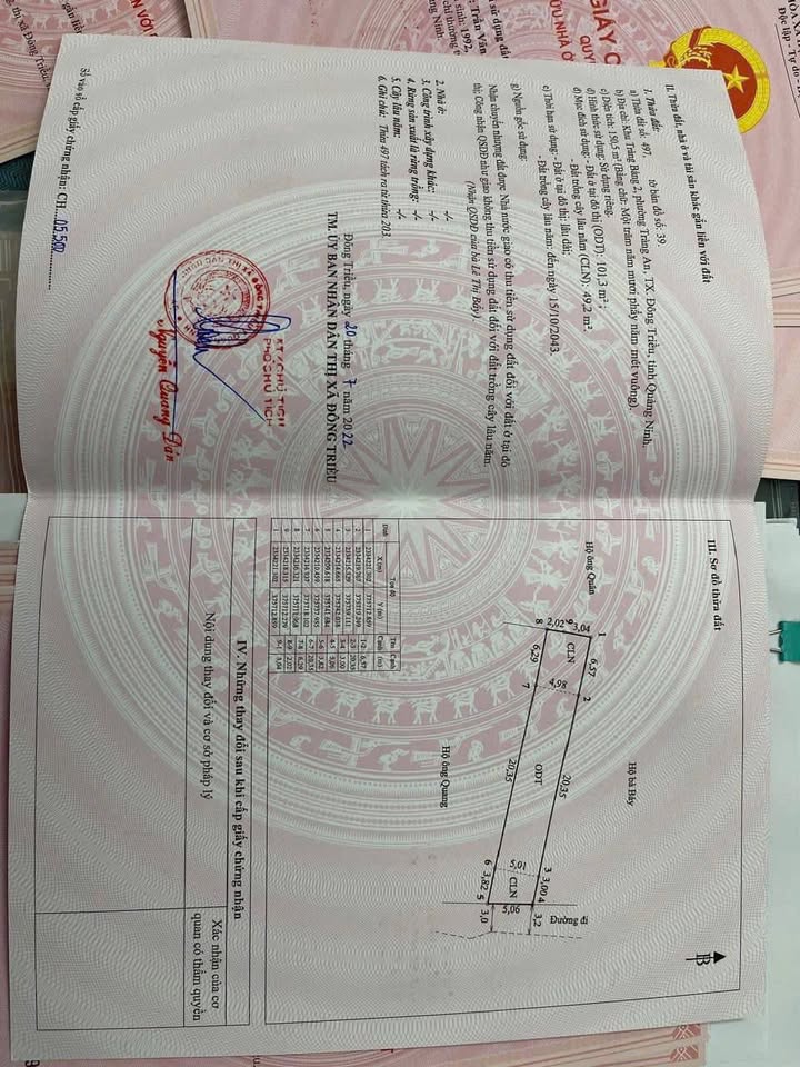 Đất nền Tràng Bảng 2, phường Bình Khê 150m² giá 800 triệu - Cơ hội đầu tư tiềm năng!