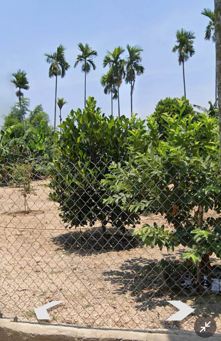 Đất vườn Diên Phú 1800m² giá chỉ 3,5 triệu/m² - Cơ hội đầu tư tuyệt vời!