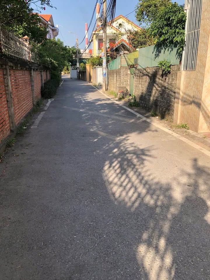 Đất nền Quang Trung, Quảng Yên 110m² giá 1.X tỷ - Vị trí vàng gần trường và chợ!