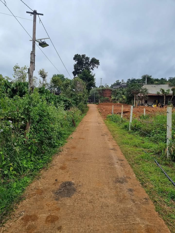 Đất nền Đức Minh Đắk Mil 1600m² giá 65 triệu - Cơ hội đầu tư hấp dẫn!