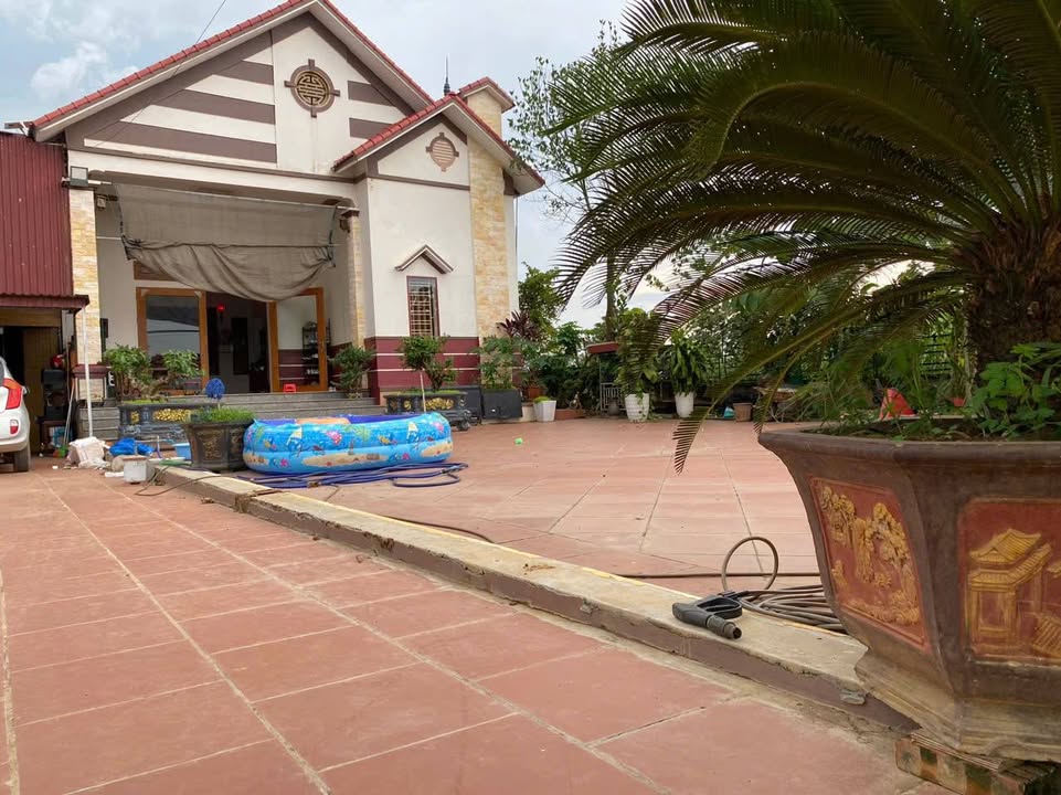 Nhà riêng Tề Lễ, Tam Nông 343m² - Nhà mái thái full công năng, giá hợp lý!