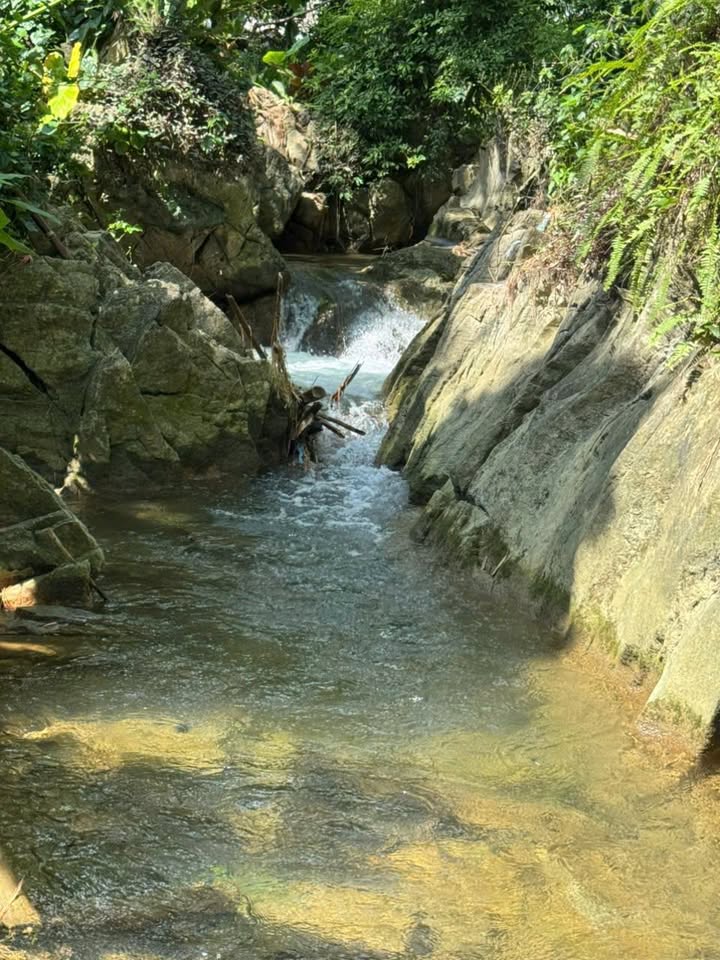 Đất bám suối Phú Cường Tân Lạc 760m² giá 450 triệu - Cơ hội đầu tư tuyệt vời!