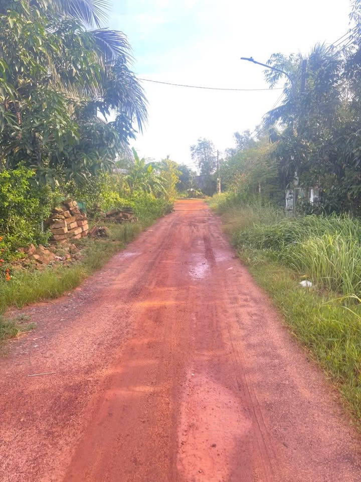 Đất mặt tiền ĐX 114 Tân An, Thủ Dầu Một 162m² giá 1.2 tỷ - Đầu tư sinh lời ngay!