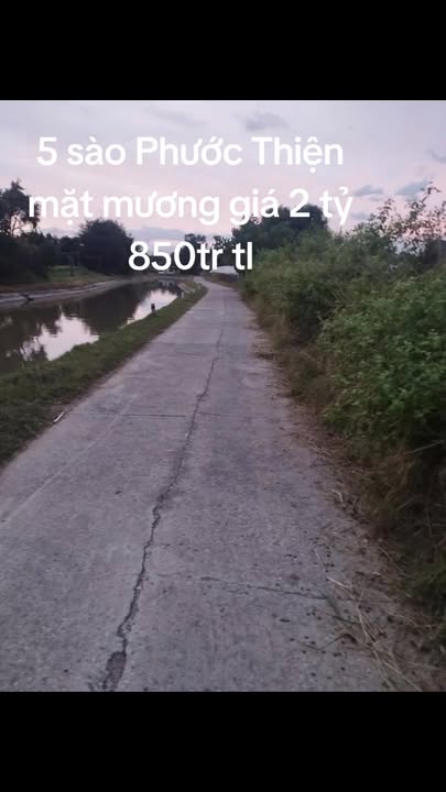 Lô đất nông nghiệp 5 sào 123m mặt tiền kênh Nam - Phước Thiện, Ninh Phước chỉ 2.85 tỷ!