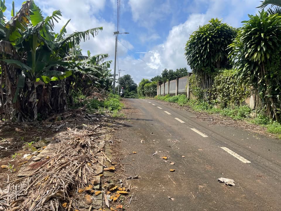 Đất Tứ Quý Lộc An 158m² giá 680 triệu - Cơ hội đầu tư không thể bỏ lỡ!