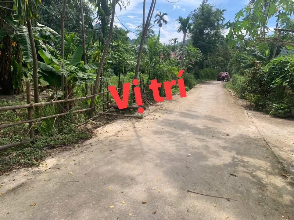 Đất nền Ngọc Lặc 174.8m² giá chưa tới 1 triệu/m² - Cơ hội đầu tư tuyệt vời!