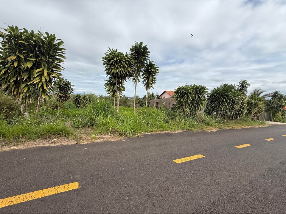 Đất nền Bảo Lộc 89m² giá 1.12 tỷ - Cơ hội đầu tư tuyệt vời!