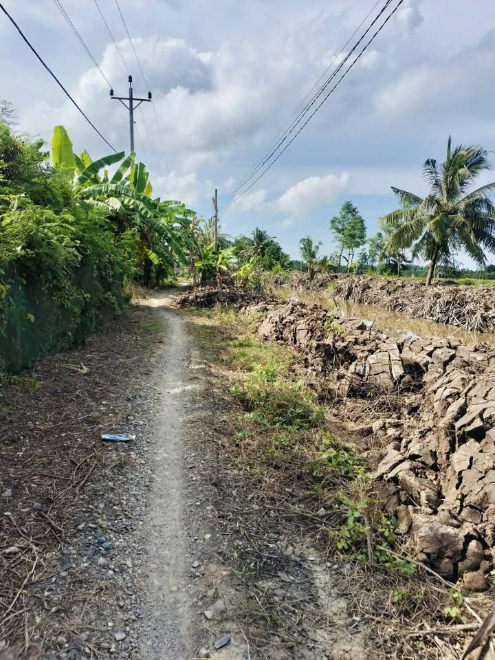 Đất Farm 5.600m² tại Ấp Hòa Muôn, Sóc Trăng giá chỉ 370 triệu - Cơ hội vàng cho đầu tư!