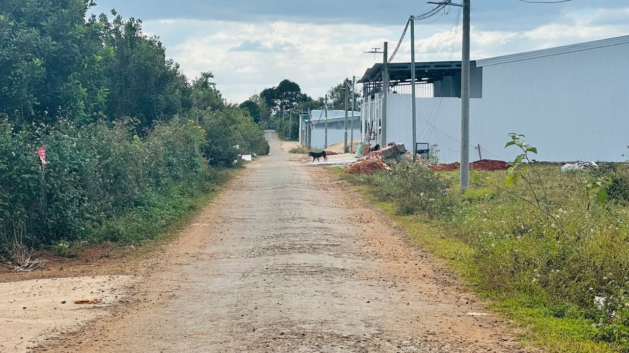 Đất thổ cư Hẻm 46 Nguyễn Kiệm, Pleiku, 125m² - Sổ đỏ chính chủ giá tốt!