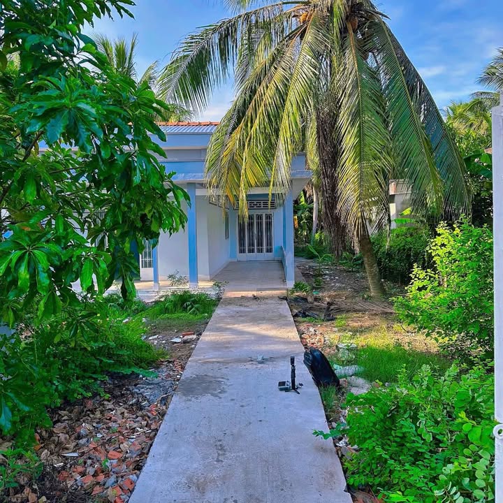 Đất nền Bình Ninh, Chợ Gạo 806m² giá 1.85 tỷ - Đầu tư sinh lời ngay!