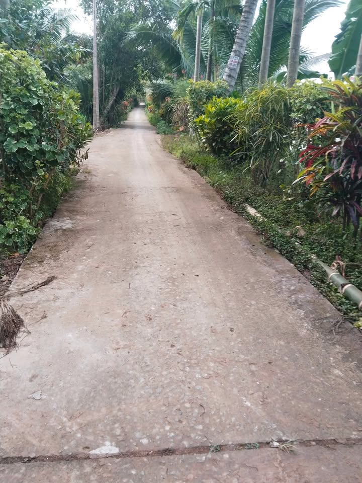 Đất nền 1000m² mặt tiền đường đan xã Đại Phúc, giá 900 triệu - Cơ hội đầu tư tuyệt vời!