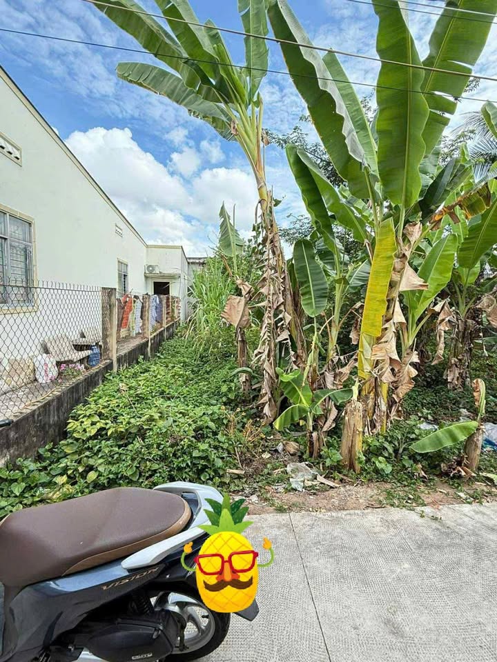 Đất thổ cư 50m² phường Trà Vinh giá 720 triệu - Cơ hội đầu tư tuyệt vời!