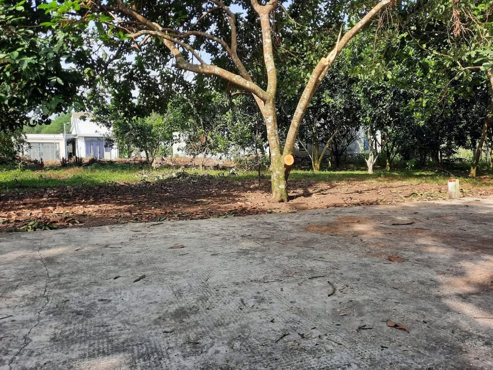 Đất nền F0 tại Phường Bình Lộc Long Khánh 100m² giá 1.08 tỷ - Cơ hội đầu tư không thể bỏ lỡ!