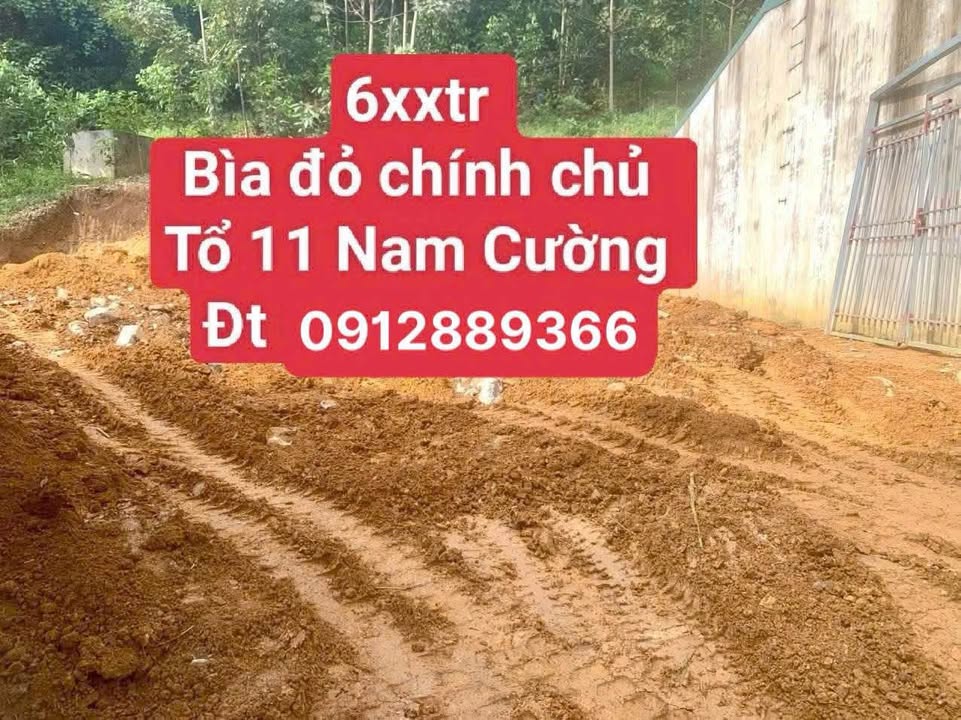 Đất nền Tổ 11 Nam Cường 80m² giá chỉ 600 triệu - Cơ hội sở hữu hiếm có!