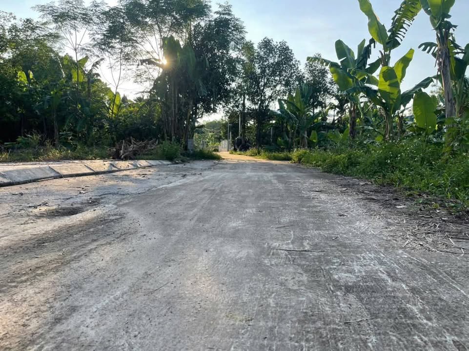 Đất thổ cư Thọ Bình Triệu Sơn 71.4m² giá chỉ 100 triệu - Cơ hội đầu tư hiếm có!