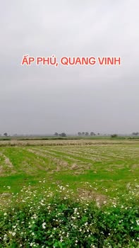 Đất nền ấp Phú, xã Quang Vinh, huyện Ân Thi 114m² giá 2.85 tỷ - Đầu tư sinh lời ngay!