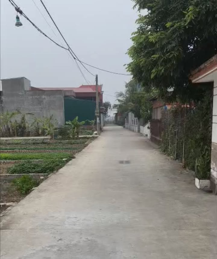 Đất Hòa Phong, Mỹ Hào 52m² chỉ 900 triệu - Ngõ ô tô, tiện ích đầy đủ!