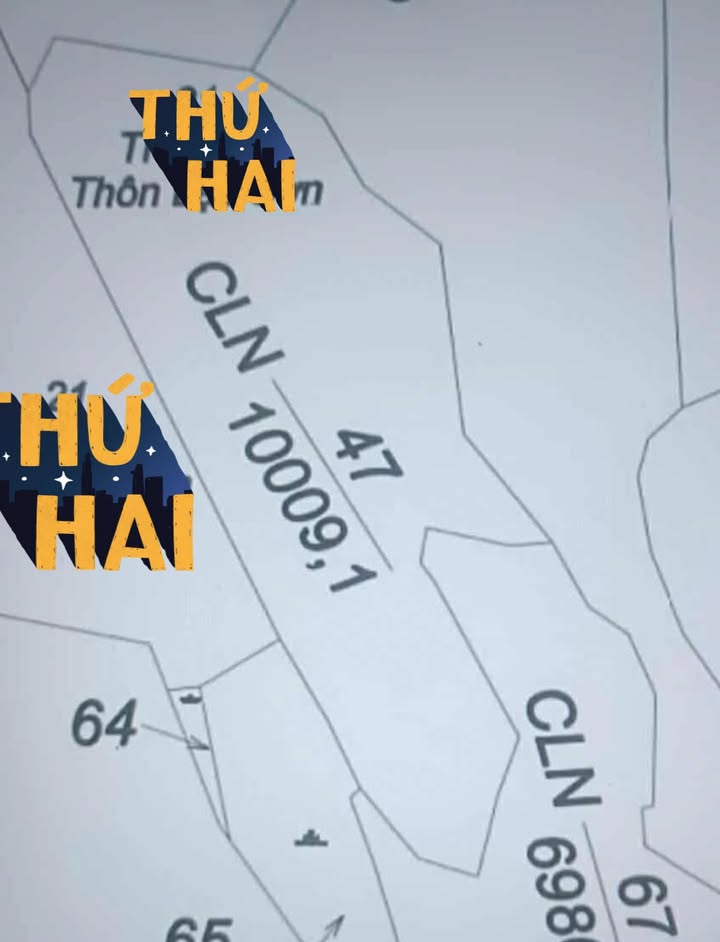 Đất thổ cư Phú Sơn 1ha giá 750 triệu - Đầu tư sinh lời ngay!