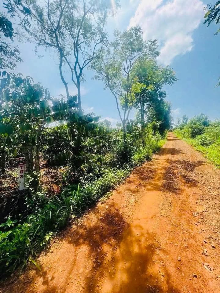 Đất nền Ea Tân Krông Năng 540m² giá 180 triệu - Mặt đường ô tô thuận tiện!