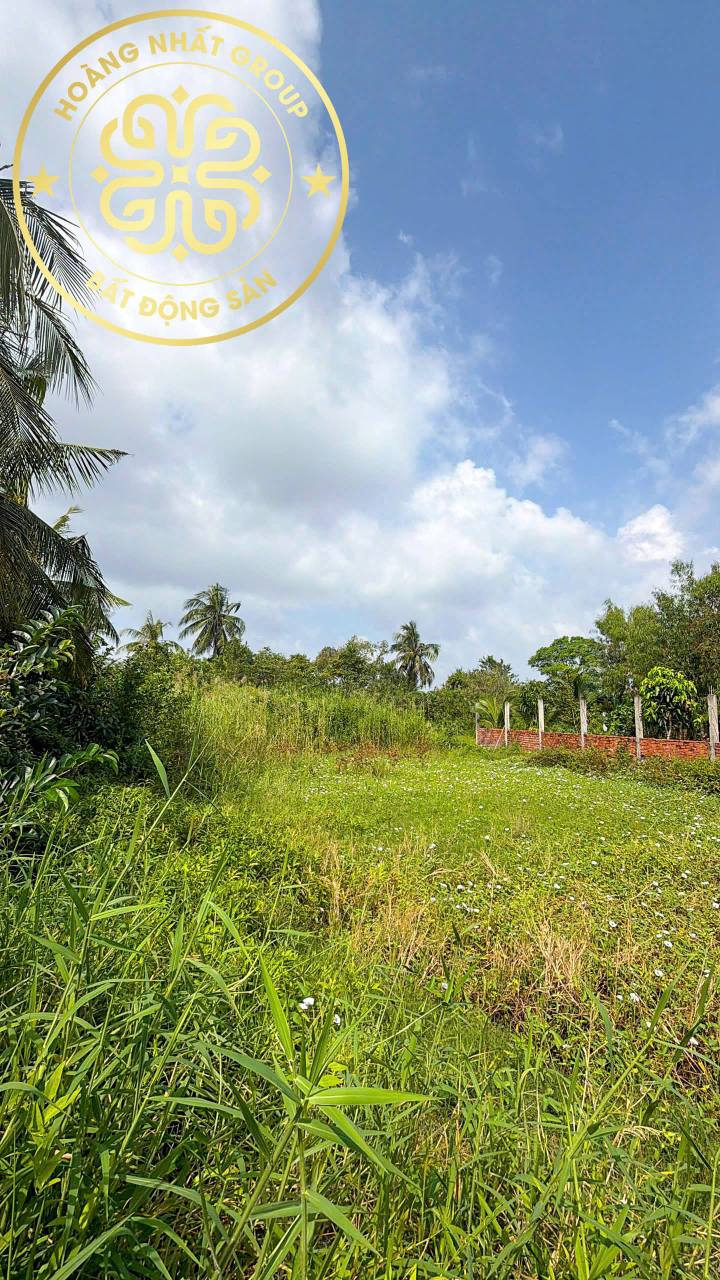 Đất vườn Kênh Thủy Lợi, xã Tân Thành 770m² giá 950 triệu - Không gian yên tĩnh, thuận tiện đầu tư!