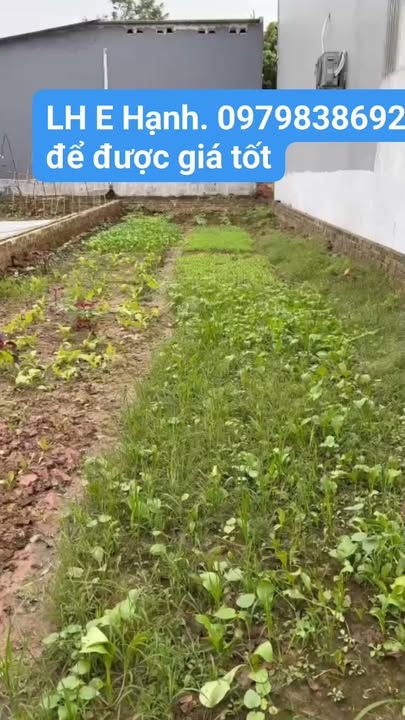 Đất nền Liên Châu, Thanh Ba 109m² chỉ 1 tỷ - Sổ đỏ chính chủ, ô tô vào tận nơi!