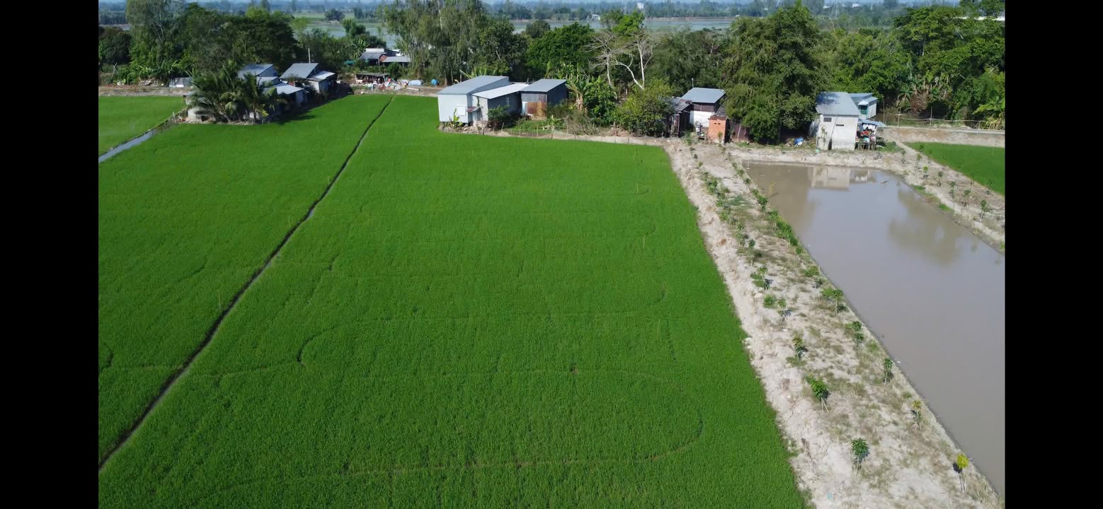 Đất nền Long Xuyên 9662m² giá 450 triệu - Tiềm năng đầu tư sinh lợi!