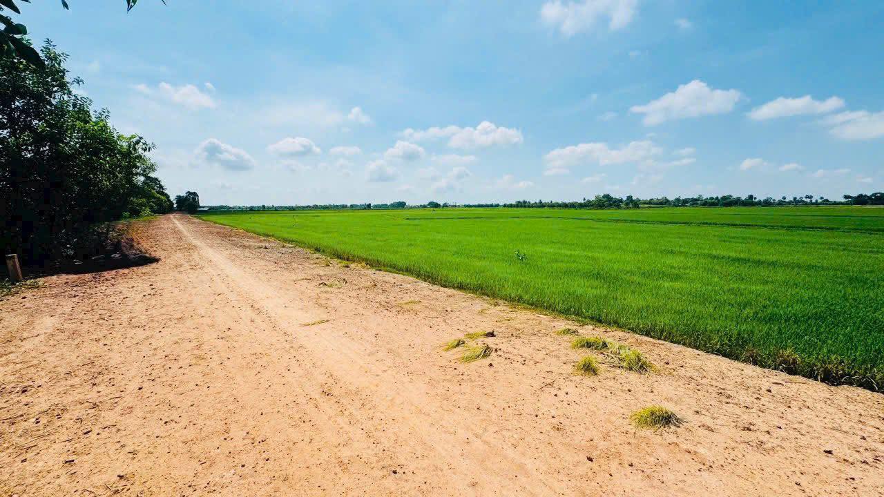 Đất nền Long Khánh - Bến Cầu 1000m² giá 1 tỷ - Pháp lý rõ ràng, sẵn sàng giao dịch!