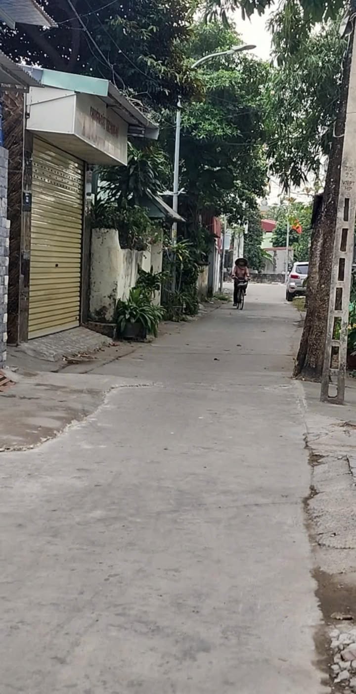 Đất nền 118m² đường Thông xã Bắc Sơn An Dương - Giá chỉ 2 tỷ