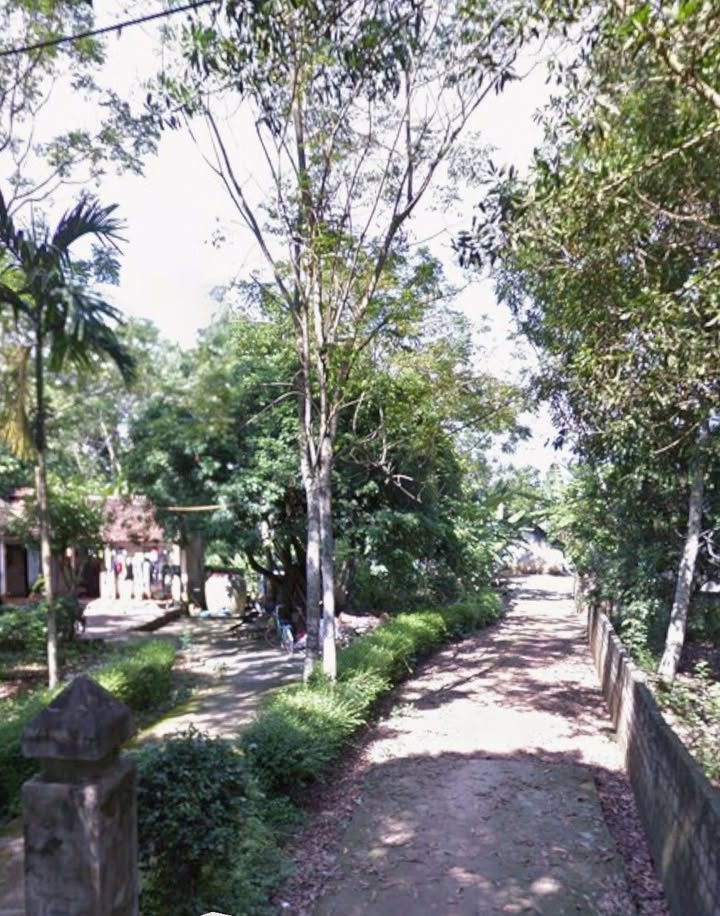 Đất nền Kim Tân, Thạch Thành, 500m² - Pháp lý rõ ràng, giá tốt cho nhà đầu tư!