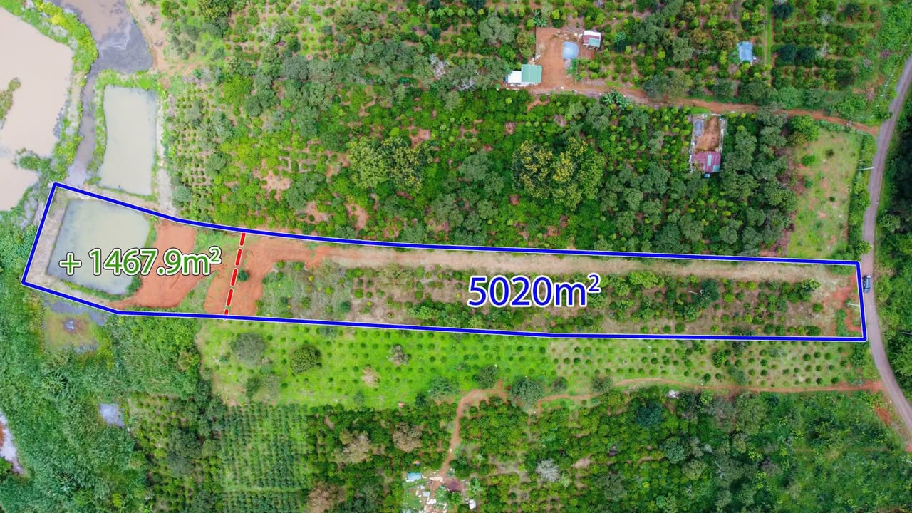 Đất nền 6,8 sào tại Quảng Thành, Gia Nghĩa - Giá chỉ 2,2 tỷ - Đầu tư sinh lời hấp dẫn!