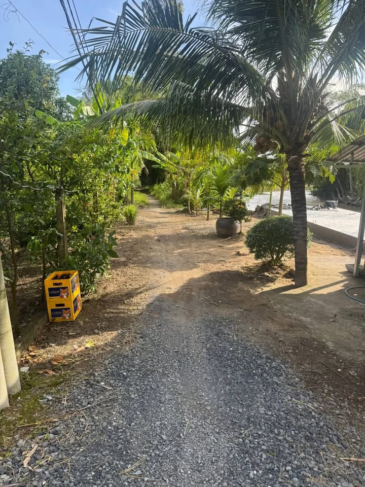 Đất thổ cư 150m² đường Phạm Thị Bang, Bình Thủy chỉ 1 tỷ - Đầu tư sinh lời ngay!