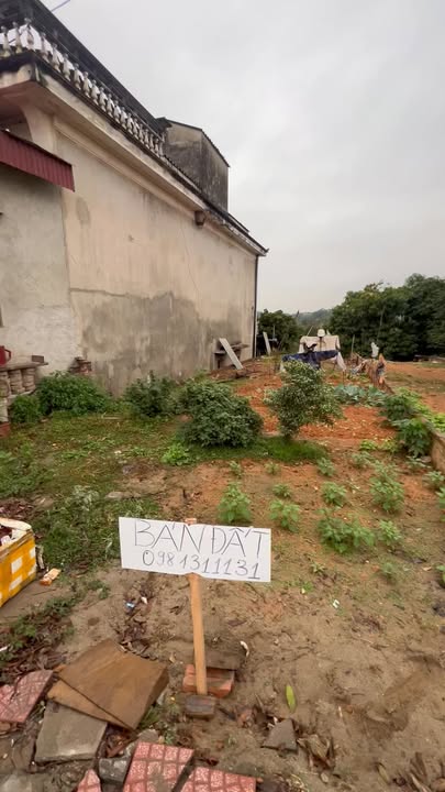 Đất thổ cư Lâm Thao 115m² giá thỏa thuận - Kinh doanh sầm uất!