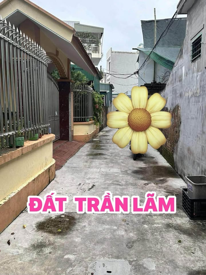 Đất Trần Lãm Thái Bình 62m² giá 1 tỷ - Ngõ taxi thông thoáng!