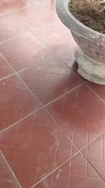 Nhà 1 trệt 1 lầu tại xã Tân Trạch, Cần Đước, Long An - 330m² giá 1.9 tỷ - Chính chủ thương lượng!