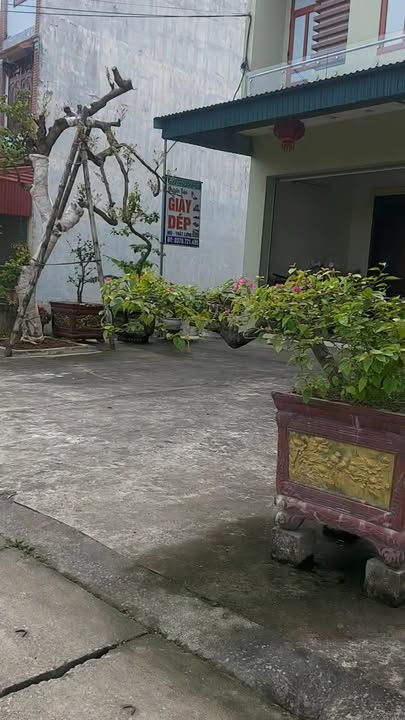 Nhà cấp 4 tại Thọ Vực, Triệu Sơn 98m² - Hàng hiếm, giá tốt từ chính chủ!