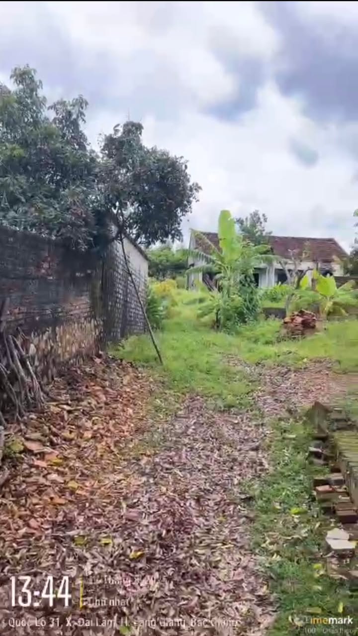 Đất nền Đại Lâm Lạng Giang 1800m² giá 3 tỷ - Cơ hội đầu tư hấp dẫn!