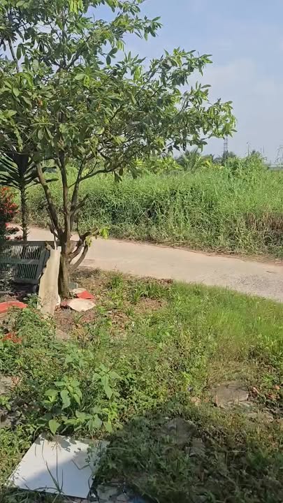 Nhà riêng Ấp 7 Nhựt Chánh, Bến Lức 235m² giá 1.149 tỷ - Đầu tư sinh lời tốt!