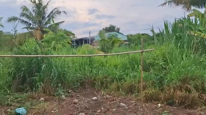 Đất nền 927m² xã Nhị Bình, huyện Châu Thành giá 900 triệu - Mặt tiền ô tô, gần chợ!