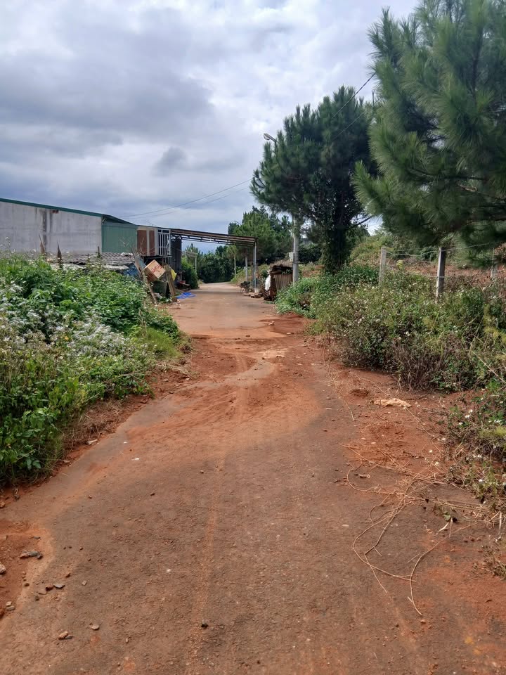 Đất nền 112m² Đường số 10, xã Lộc An, Bảo Lâm - Giá chỉ 700 triệu VND!