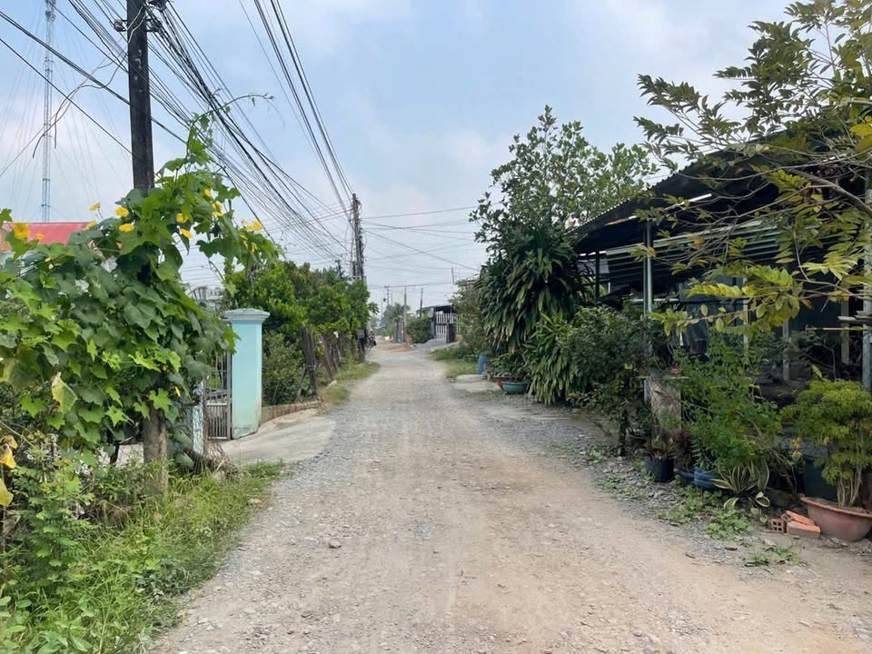 Đất nền Đức Hòa Long An 146m² giá 1.298 tỷ - Đường thông xe tải, đầu tư sinh lời!