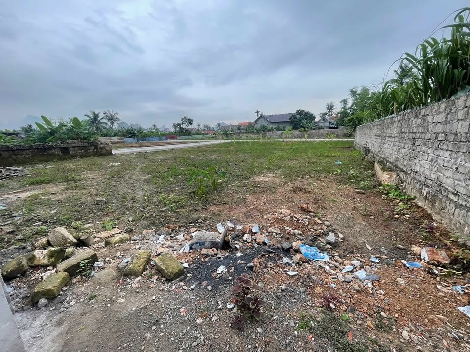 Mảnh đất vườn Liên Xuân 390m² giá 1.6 tỷ - Đầu tư sinh lời hấp dẫn!