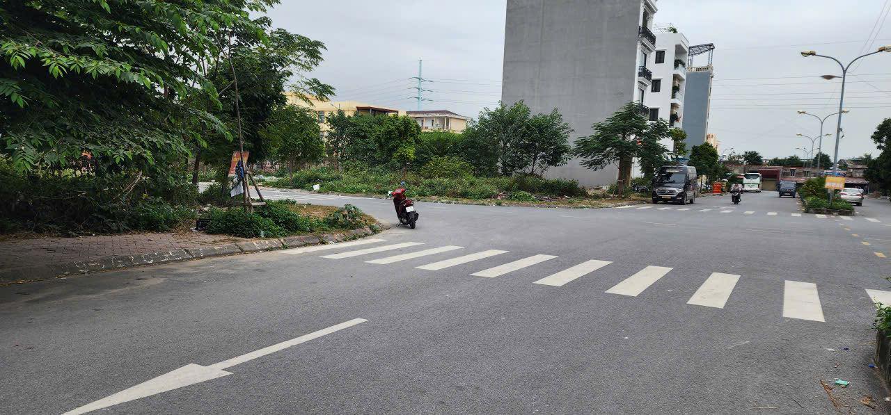 Nhà phố Đằng Giang, Ngô Quyền, Hải Phòng 50m² - Vị trí trục thông, giá tốt thỏa thuận!